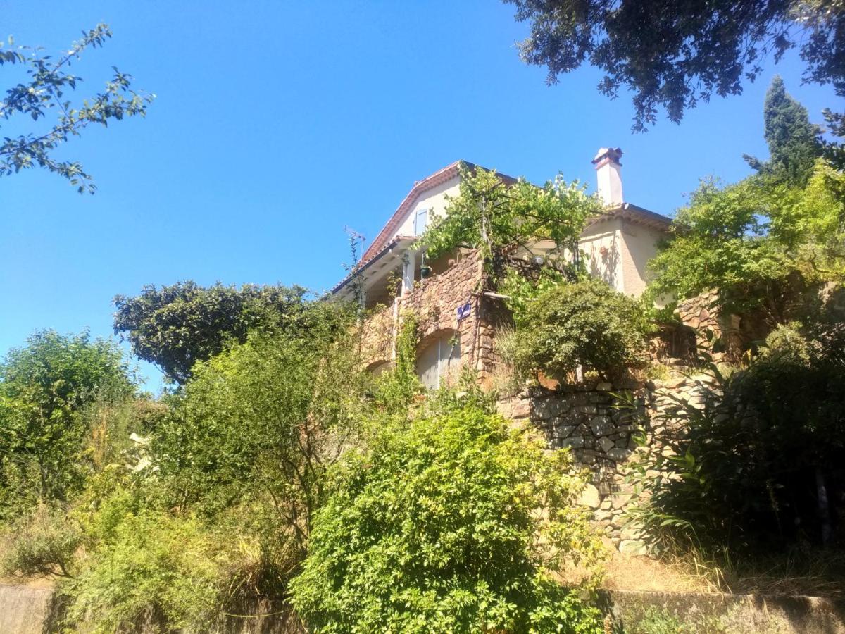 Отель Les Jardins D'Arbousse Сен-Жан-дю-Гар Экстерьер фото